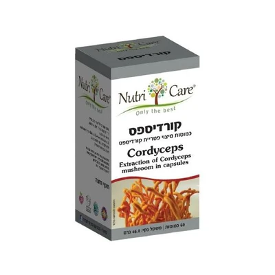 פטריות מרפא