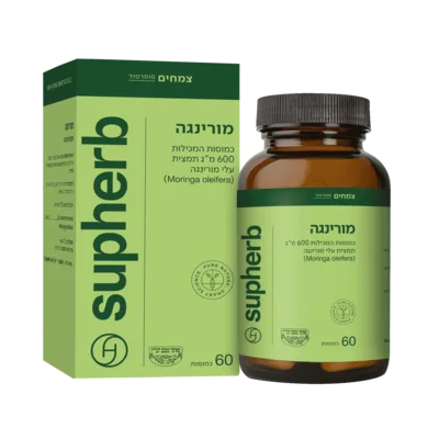מורינגה סופהרב  | Moringa Oleifera